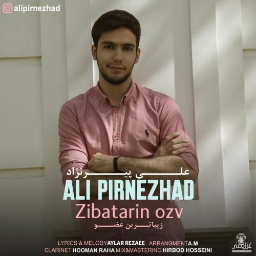 دانلود آهنگ زیباترین عضو